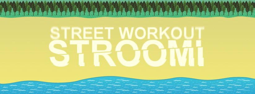 Street Workout Stroomi Fest