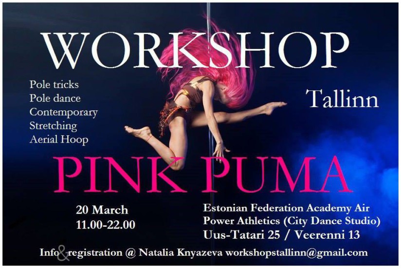 Pink Puma workshop